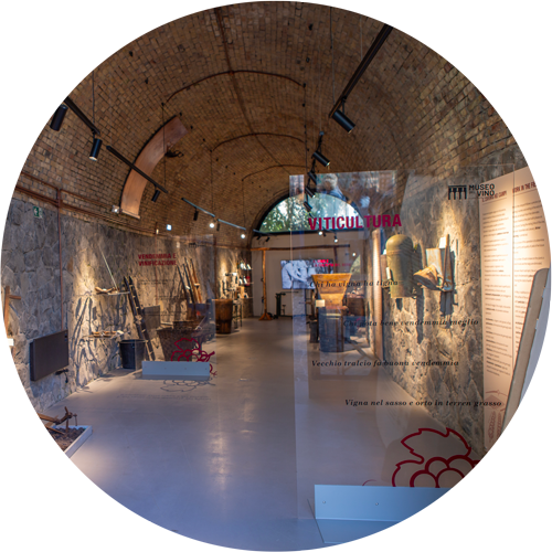 Museo del vino Monte Porzio Catone